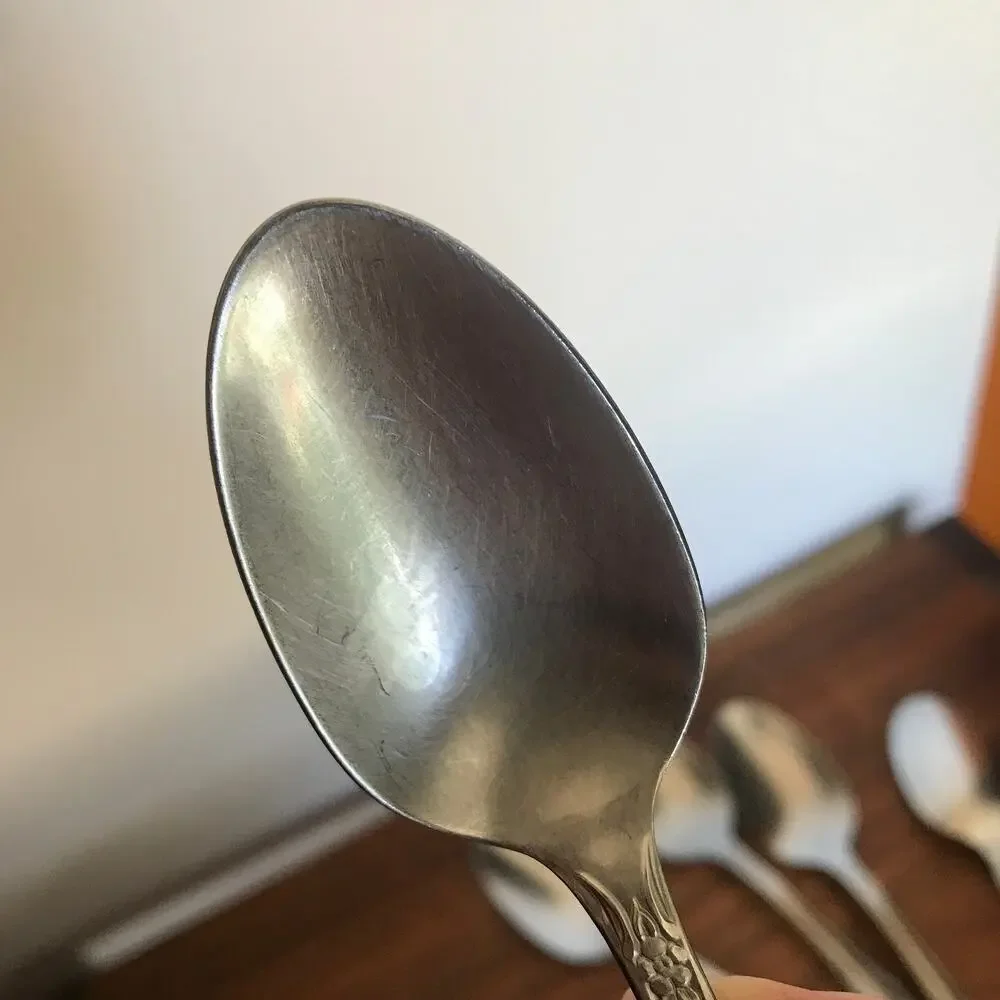 Oneida Wm. A. Rogers Fenway (Daydream) stainless, set of 6 teaspoons